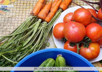 Нітрати у свіжих овочах та фруктах: як себе уберегти?