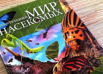 “Удивительный мир насекомых” – енциклопедія для тих, хто цікавиться світом комах