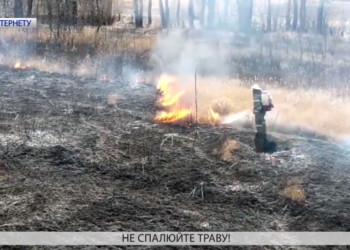 Чому не можна палити суху траву, листя чи сміття? Покарання порушникам