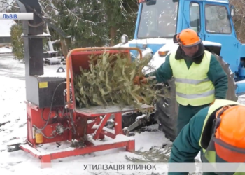 Друге життя новорічних ялинок
