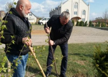 Тальнівський міський голова разом з підприємцями заклали алею біля церкви